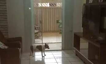 Imagem 4: Alugo casa no Cohatrac