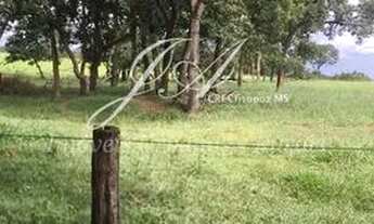 Imagem 4: Ótima Chácara 15,6 em Terenos