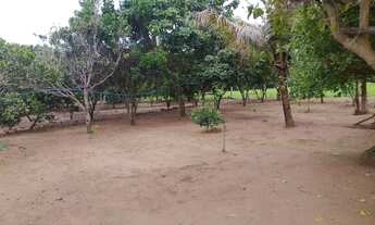 Imagem 5: Chácara em Guapó