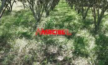 Imagem 4: Rural fazenda, sítio e chácara em Sao Jose dos Campos