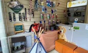 Imagem 4: Oportunidade esperando por você - ponto comercial - Pet shop no bairro da Penha