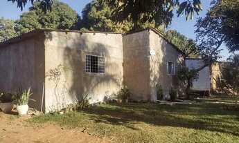 Imagem 5: Chácara na Rajadinha, lote de 1300 metros, 170.000