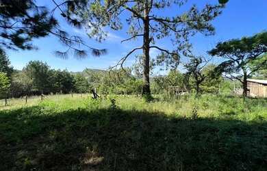 Imagem 6: Vendo um Sítio unico e exclusivo com vista panorâmica Morungava