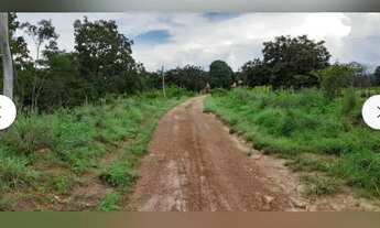 Imagem: Vendo fazenda - 12 alqueires e 30 Litros