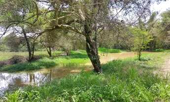 Imagem 5: Fazendinha para Venda em Cachoeiras de Macacu, Papucaia, 2 dormitórios, 1 suíte, 2 banheir