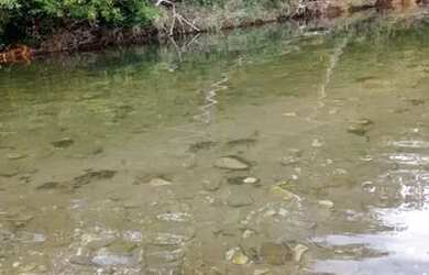 Imagem 3: Chácara em chapada guimaraes