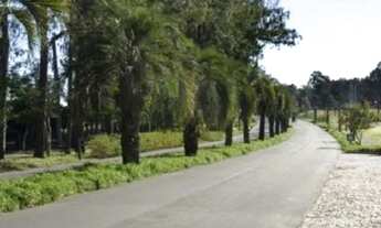 Imagem 6: Terreno para Venda - 0m², 0 dormitórios, Belém Novo