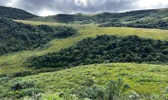 Imagem 7: CAMPO DOS PADRES CHÁCARAS EM URUBICI PARA VENDA!!!