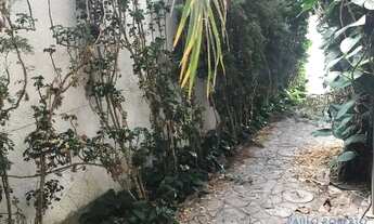 Imagem 5: CASA ASSOBRADADA - ALTO DE PINHEIROS - SP