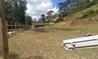 Imagem 2: Sítio em Senhora das Dores