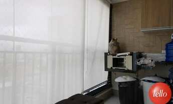 Imagem 5: São Paulo - Apartamento Padrão - Cambuci