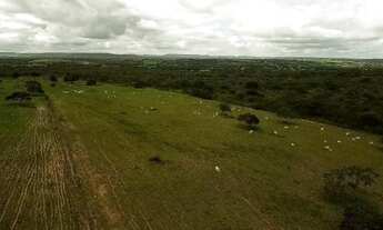 Imagem: Fazenda de 1.100 tarefas em Ribeira do Amparo