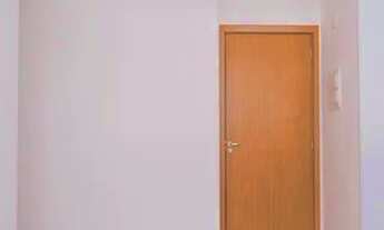 Imagem 3: Apartamento para Aluguel - Jardim Iris , 2 Quartos, 44 m2