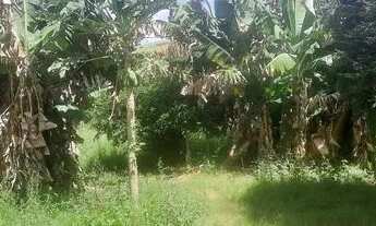 Imagem 2: Chácara Chácara com venda por R$85.000