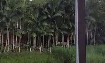 Imagem 2: Dividir aluguel Quarto com aluguel por R$700 /mês