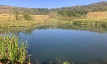 Imagem 2: Fazenda em campina verde