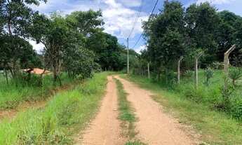 Imagem 3: Chácara de 1.000m² plantada de arvores frutíferas, em frente a uma reserva ecológica