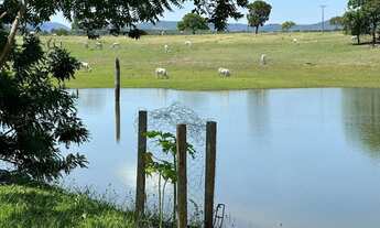 Imagem 2: Fazenda Top 100 Alqueires - Araguapaz!