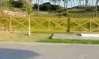 Imagem 5: SUNSET BEACH RESIDENCE !