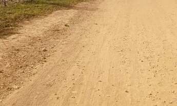 Imagem 6: LOTE À VENDA BICA DO DER (PRÓXIMO AO COLÉGIO ALTAMIR) R$240 MIL