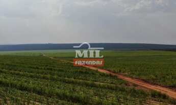 Imagem 3: Fazenda em Mineiros-GO. Área Total: (379 Alqueires) 1.835 Há