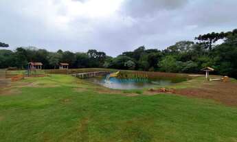 Imagem 7: Chácara à venda, 2000 m² por R$ 210.000,00 - Morumbi - Cascavel/PR