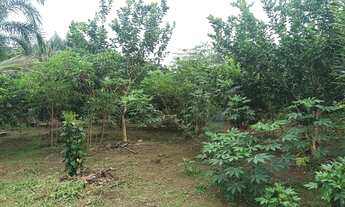 Imagem 3: VENDE-SE SÍTIO NA CARLOS BRAGA