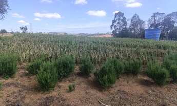 Imagem 4: Oferta: vendo 36 mil metros.piedade sp. C/ rio no fundo. Ótimo preço