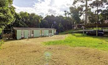 Imagem 6: Chácara com 3 dormitórios à venda, 20000 m² por R$ 800.000,00 - Área Rural de São José dos