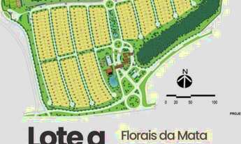 Imagem: Terreno florais da mata 380mts