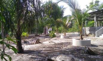 Imagem 5: Sítio lindo 100x200 Novo Paraíso