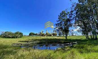 Imagem 2: Imóvel para venda com 101000 metros quadrados em Águas Claras - Viamão - RS