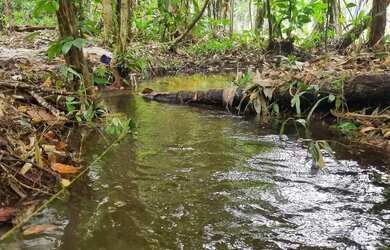 Imagem 5: Vendo terreno com igarape