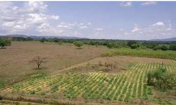 Imagem 4: Vende-se uma excelente fazenda de 238 hectares