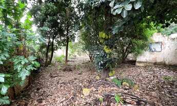 Imagem 2: Terreno - Chácara Boa Vista - Campinas