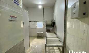 Imagem 6: Frigorifico de pescados para Alugar no bairro Murta