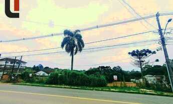 Imagem 5: Terreno à venda, 4260 m² por R$ 1.950.000,00 - Santa Cândida - Curitiba/PR