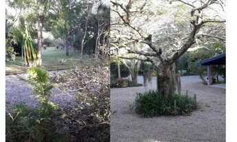 Imagem 6: Terreno com 85.884 m2, com 3 casas à venda no Rio Verrmelho