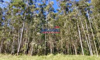 Imagem: Sitio à venda em Santa Branca, Mombuca