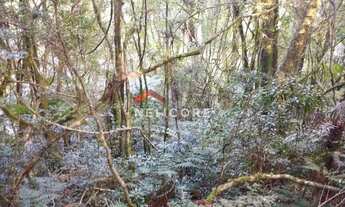 Imagem 3: Lote em Rua da Carapina - Vale do Carapina - São Francisco de Paula/RS