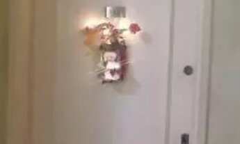 Imagem 6: APARTAMENTO - JARDIM VILA FORMOSA - SP