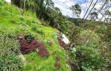 Imagem 7: TERRENO COM 450 M2 COM BOA TOPOGRAFIA COM VISTA LIVRE - POR R$ 180.000,00 - NOVA FRIBURGO