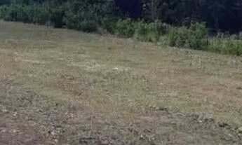 Imagem: Terreno dentro loteamento terras lagoinha