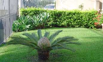 Imagem 3: Casa com 3 dormitórios na Zona Norte