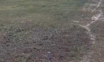 Imagem 2: Terreno dentro loteamento terras lagoinha