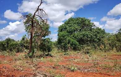 Imagem 5: Fazendinhas com 20.000m2 Financiadas às Margens da Rodovia 040 em Paraopeba MG