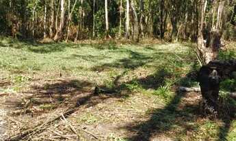 Imagem 6: Sitio taiacupeba com 20mil m2 escritura ok