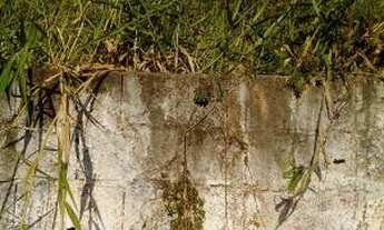 Imagem 4: Terreno à venda em , cod:14313