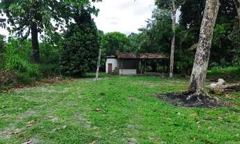 Imagem 2: R$150 mil sitio no cupiuba em Castanhal com 2 igarapés