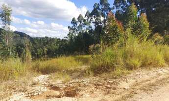 Imagem 7: Chácara Campo Magro 25.000m2